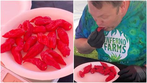Can you touch ghost pepper?