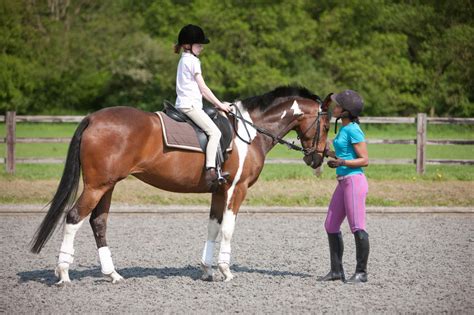 Can you train a 15 year old horse to ride?