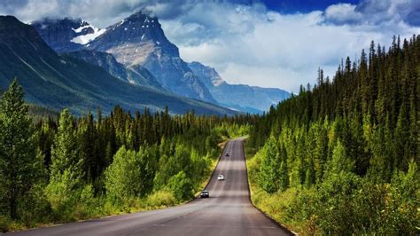 Can you travel in Canada without a car?