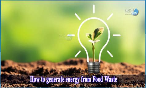 Can you turn food waste into biofuel?