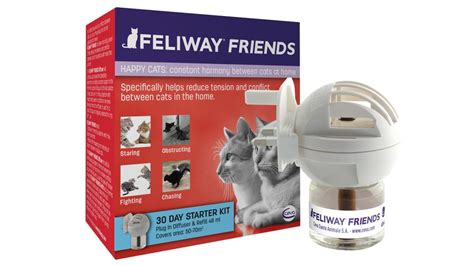 Can you use Feliway all the time?