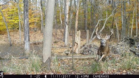 Can you use a 30 30 to hunt deer in Indiana?