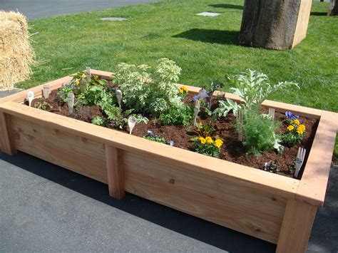 Can you use any wood for raised garden beds?