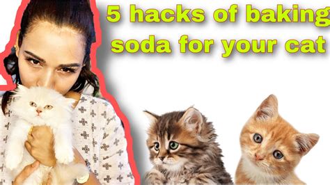 Can you use baking soda around pets?