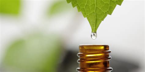 Can you use extract as essential oil?