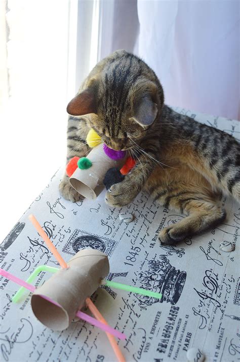 Can you use hot glue to make cat toys?