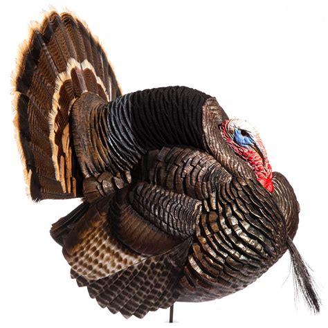 Can you use turkey decoys in Indiana?