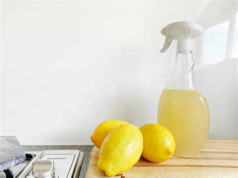 Can you use vinegar to clean a countertop ice maker?