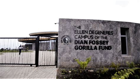 Can you visit Ellen DeGeneres Gorilla Foundation?