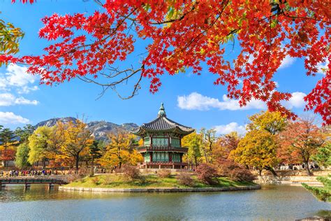 Can you visit South Korea with only English?