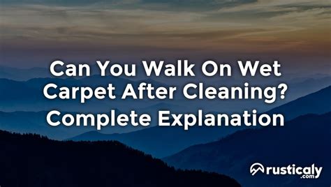 Can you walk on wet carpet after cleaning?