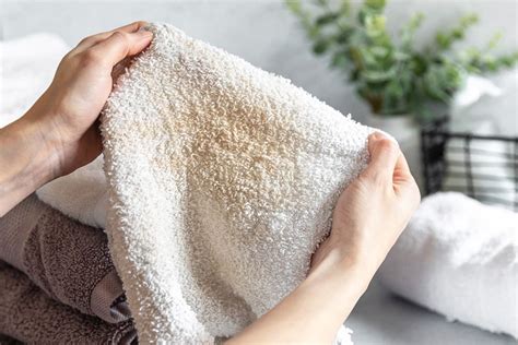 Can you wash moldy towels?