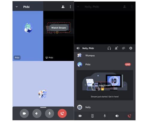 Can you watch screen share on Discord mobile?