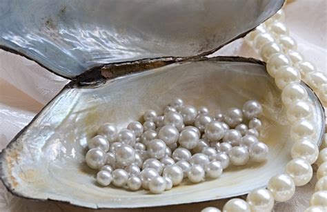 Can you wear freshwater pearls in the ocean?