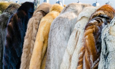 Can you wear real fur in snow?