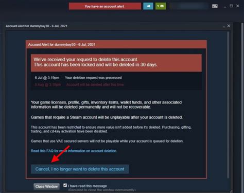 Can your Steam account get deleted?