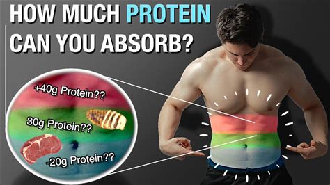 Can your body absorb 100g of protein?
