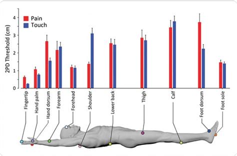 Can your body be sensitive to touch?