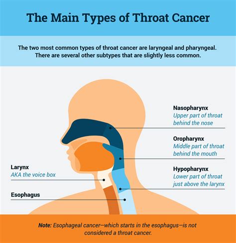 Can your body fight off throat cancer?