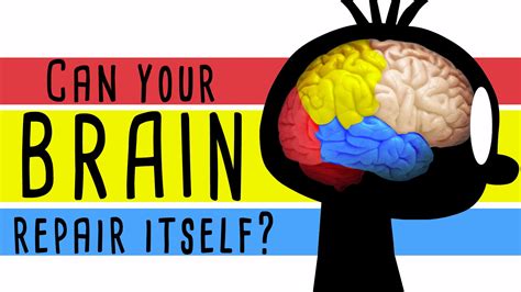 Can your brain heal itself from anxiety?