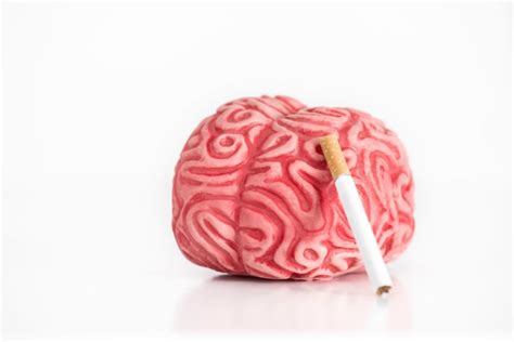 Can your brain recover from nicotine?