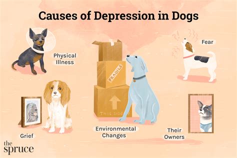 Can your dog sense when you're depressed?