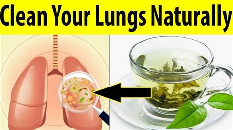 Can your lungs clear dust?