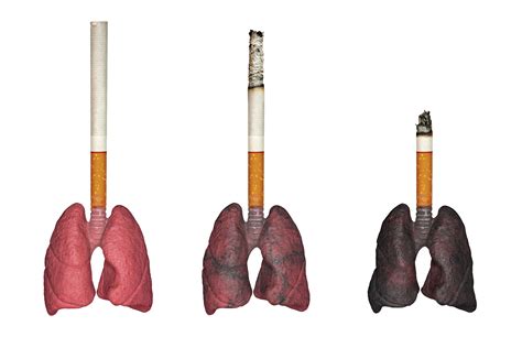 Can your lungs heal from smoking?