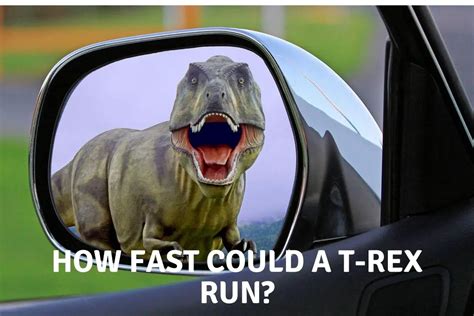 Could the T. rex survive today?