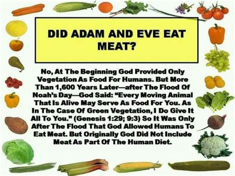 Did Adam and Eve eat meat?