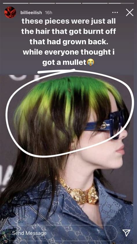 Did Billie Eilish have a mullet?