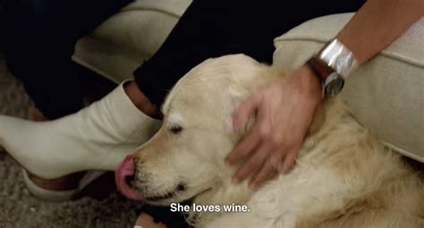 Did Jessica give her dog wine?