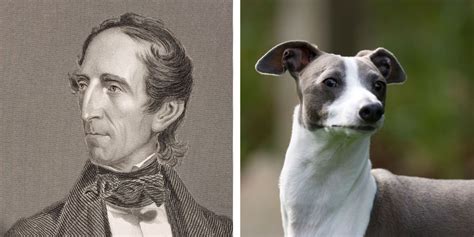 Did John Tyler have any pets?