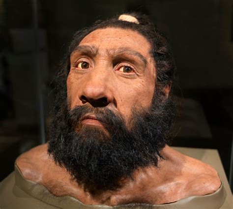 Did Neanderthals eat us?