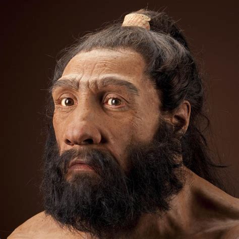 Did Neanderthals starve?