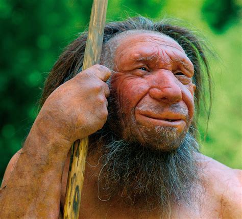 Did Neanderthals use toothpicks?