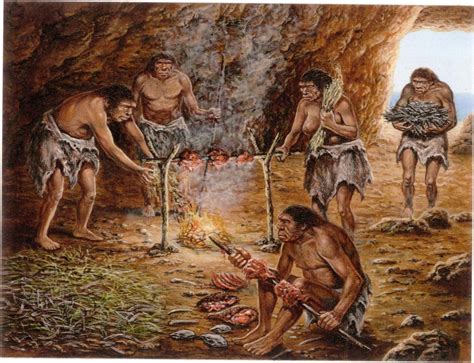 Did Paleolithic humans cook?