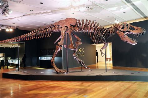Did T. rex sell for $31 million?