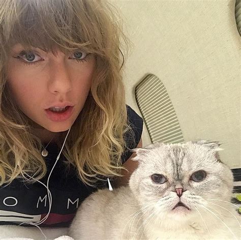 Did Taylor Swift trademark her cats?