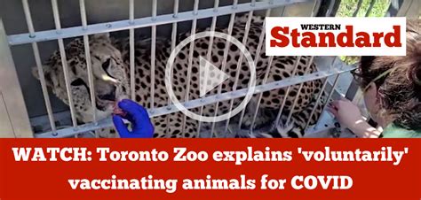 Did Toronto Zoo vaccinate animals?