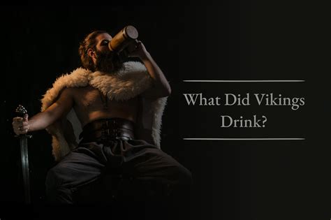 Did Vikings drink everyday?
