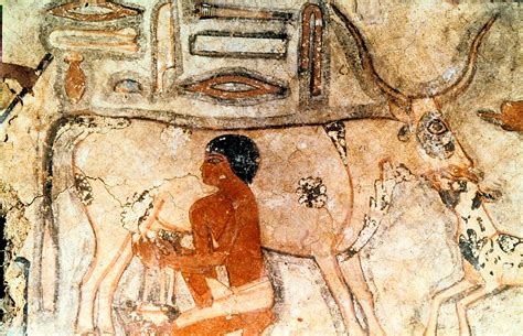 Did ancient Egypt have milk?