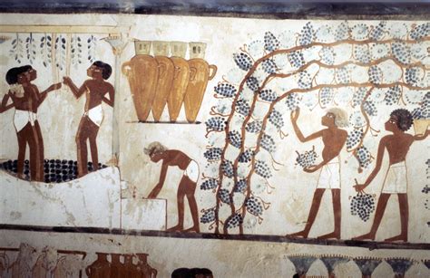 Did ancient Egyptians drink wine?