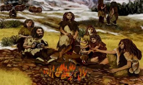 Did ancient humans eat more meat or vegetables?