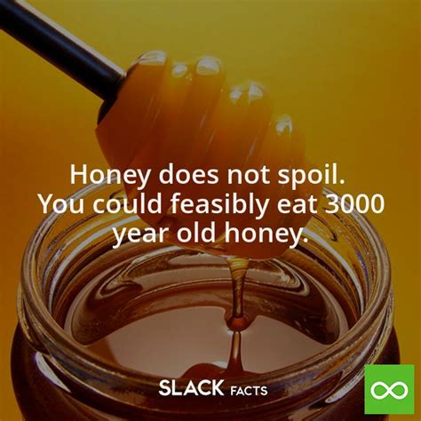 Did anyone eat 3000 year old honey?