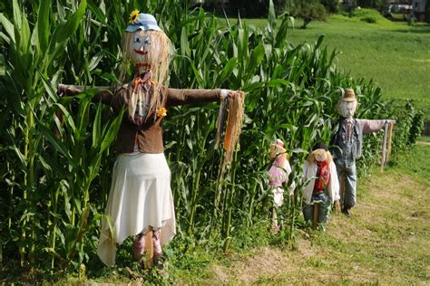 Did farmers really use scarecrows?