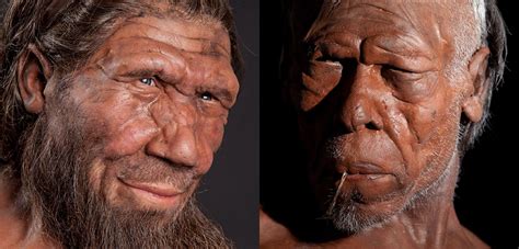 Did humans live 10,000 years ago?
