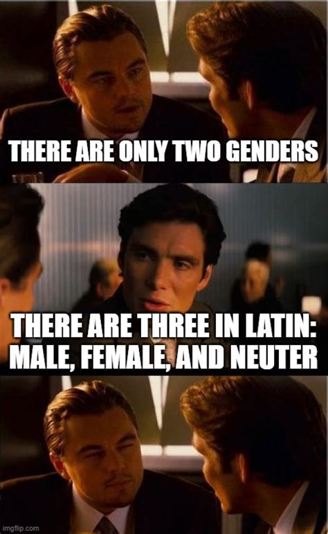 Did the Romans have 3 genders?