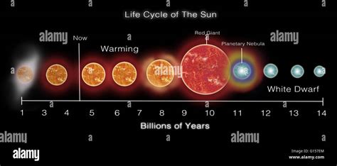 Did the sun create life?