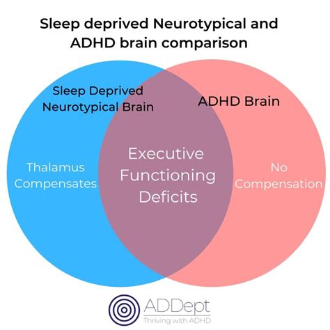 Do ADHD brains need less sleep?